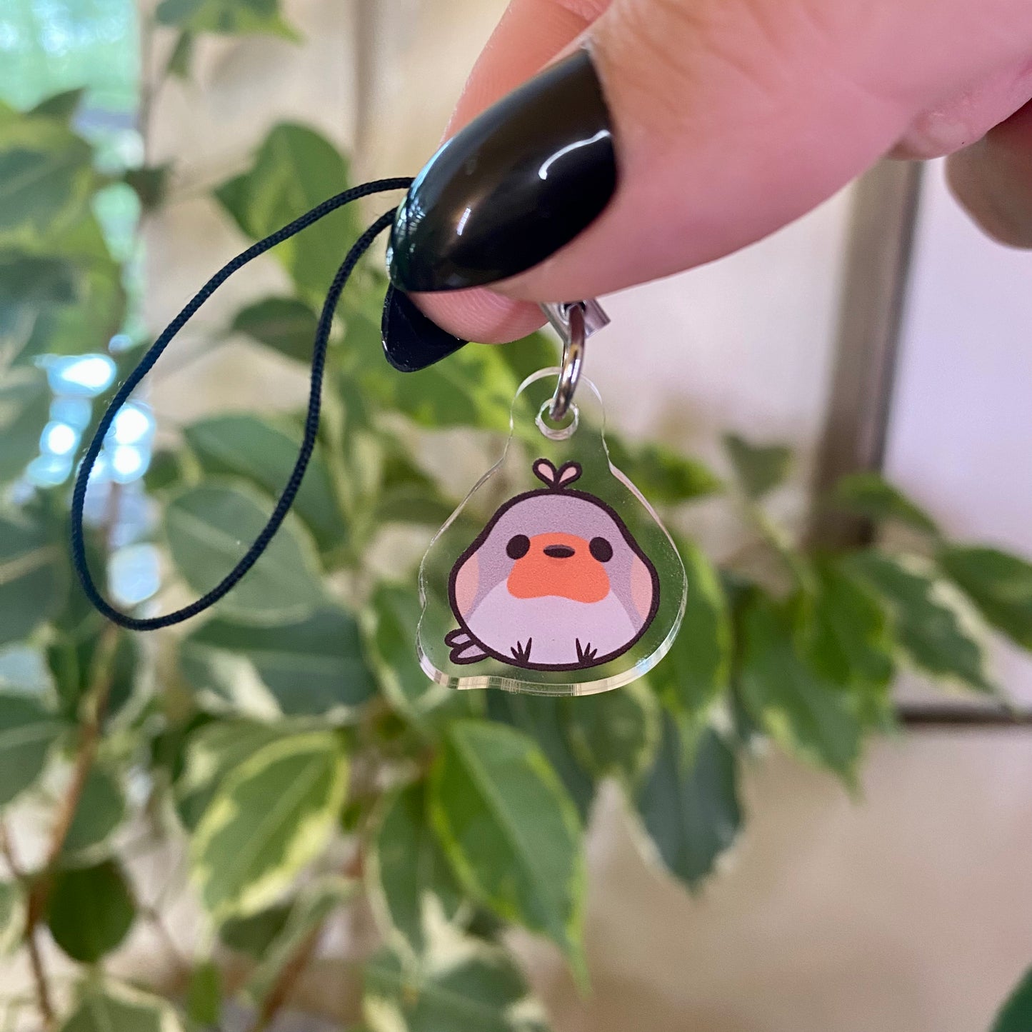 Bird English Robin Cute Mini Acrylic Charm