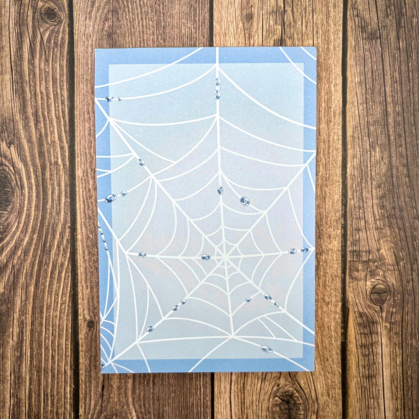 Spider Web 4x6 Notepad / 3x3 Sticky Notes (Stationery)