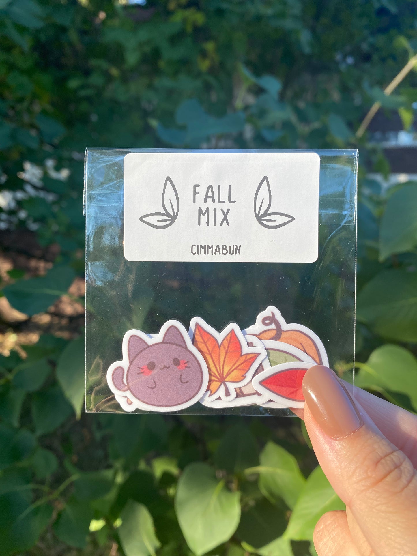 Fall Mix Set of 10 Mini Stickers (Black Cat, English Robin)